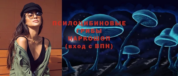 крисы Киреевск