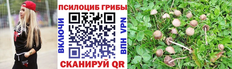 Галлюциногенные грибы Cubensis  Купить где  Кызыл 